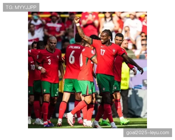 葡萄牙球迷热情高涨，鼎力支持助国家队世界杯备战状态回升