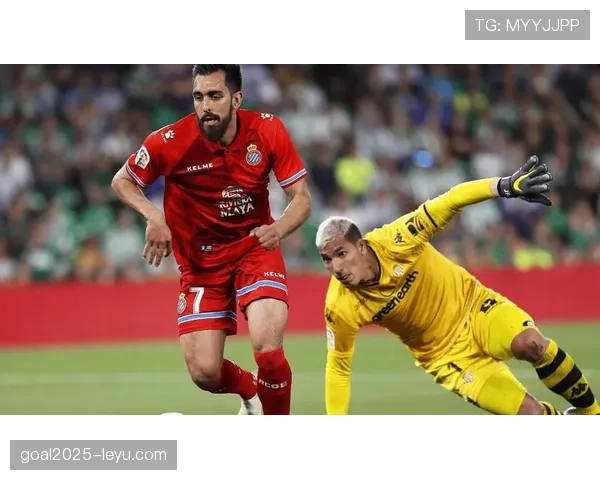 科雷亚领衔国家队全力备战国际赛事，状态火热引期待