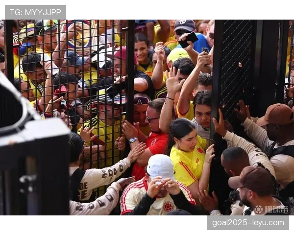 美洲杯决赛门票开售 热门球队对决引球迷抢购